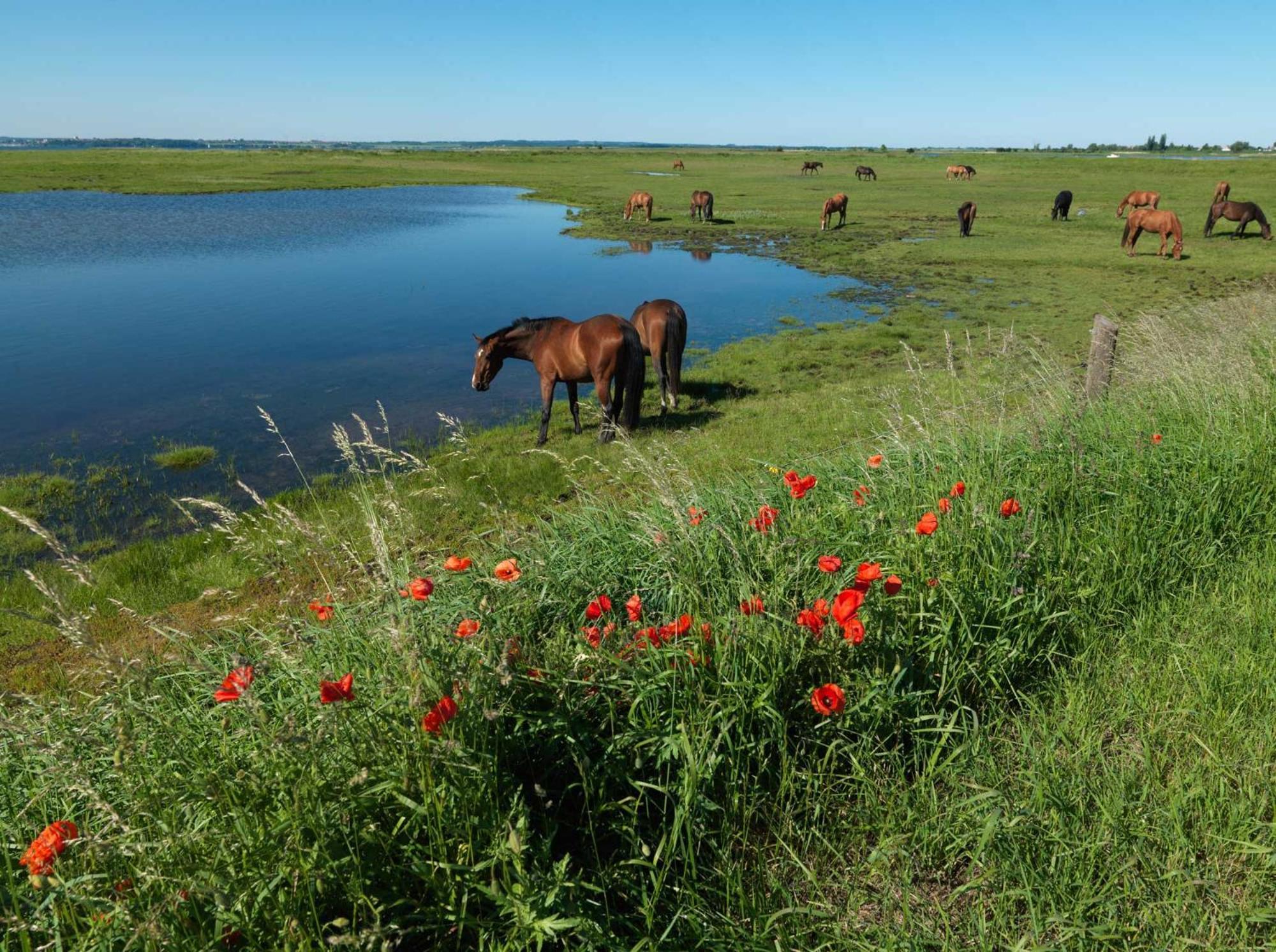 Apartmán Einhusen Gute Stube Insel Poel Exteriér fotografie